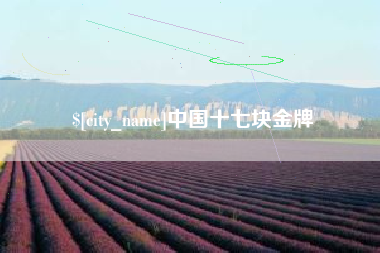 德宏中国十七块金牌