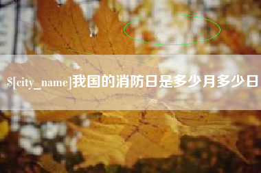 德宏我国的消防日是多少月多少日
