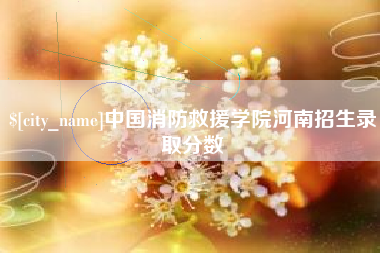 德宏中国消防救援学院河南招生录取分数