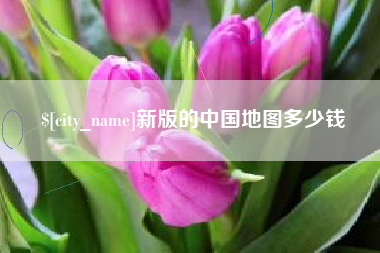 德宏新版的中国地图多少钱