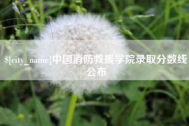 德宏中国消防救援学院录取分数线公布