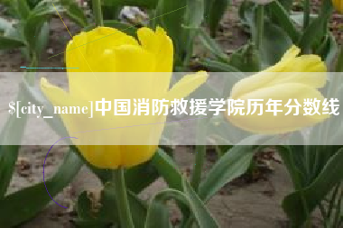 德宏中国消防救援学院历年分数线
