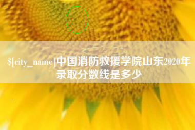 德宏中国消防救援学院山东2020年录取分数线是多少