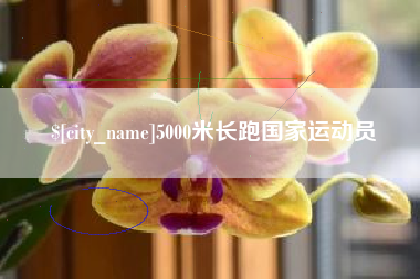 德宏5000米长跑国家运动员