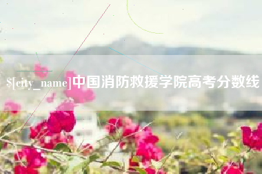 德宏中国消防救援学院高考分数线