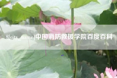 德宏中国消防救援学院百度百科
