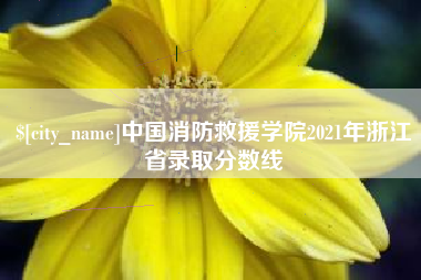 德宏中国消防救援学院2021年浙江省录取分数线