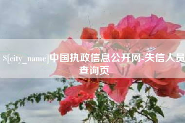 德宏中国执政信息公开网-失信人员查询页