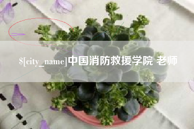 德宏中国消防救援学院 老师