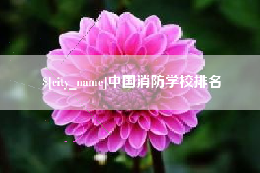 德宏中国消防学校排名