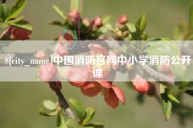 德宏中国消防官网中小学消防公开课