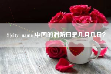 德宏中国的消防日是几月几日？