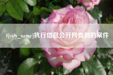 德宏执行信息公开网查到的案件
