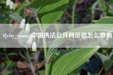 德宏中国执法公开网征信怎么查询