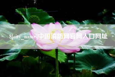 德宏中国消防网官网入口网址