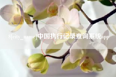 德宏中国执行记录查询系统app