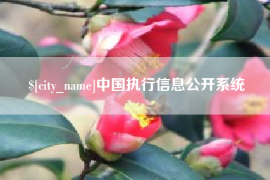 德宏中国执行信息公开系统