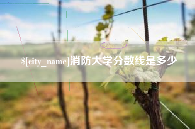 德宏消防大学分数线是多少