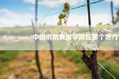 德宏中国消防救援学院在那个地方