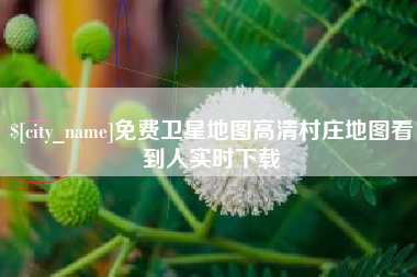德宏免费卫星地图高清村庄地图看到人实时下载