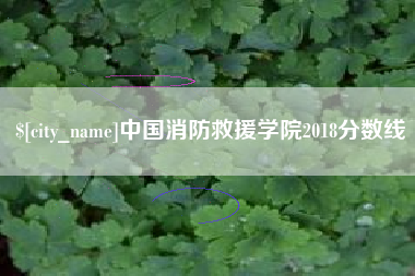 德宏中国消防救援学院2018分数线