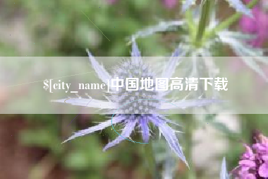 德宏中国地图高清下载