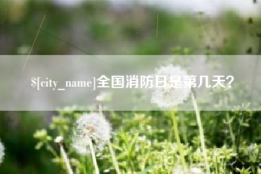 德宏全国消防日是第几天？