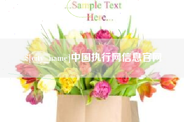 德宏中国执行网信息官网