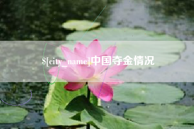 德宏中国夺金情况