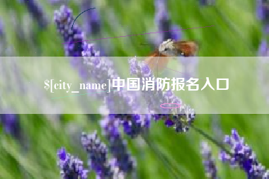 德宏中国消防报名入口