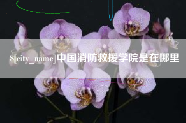 德宏中国消防救援学院是在哪里