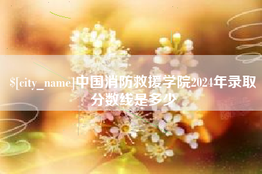 德宏中国消防救援学院2024年录取分数线是多少