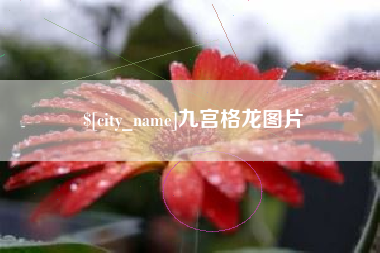 德宏九宫格龙图片