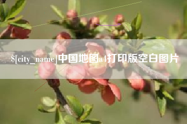 德宏中国地图a4打印版空白图片