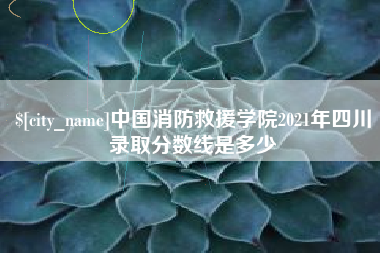 德宏中国消防救援学院2021年四川录取分数线是多少