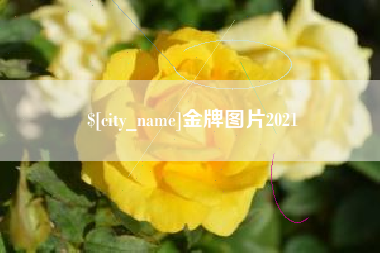 德宏金牌图片2021