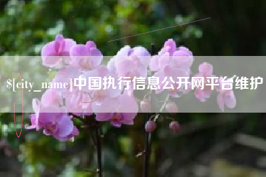 德宏中国执行信息公开网平台维护