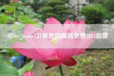 德宏卫星地图高清免费2024街景
