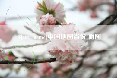 德宏中国地图省份 简图