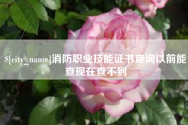 德宏消防职业技能证书查询以前能查现在查不到