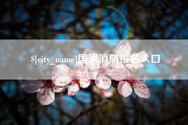 德宏国家消防报名入口