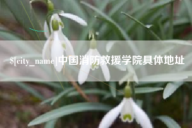 德宏中国消防救援学院具体地址