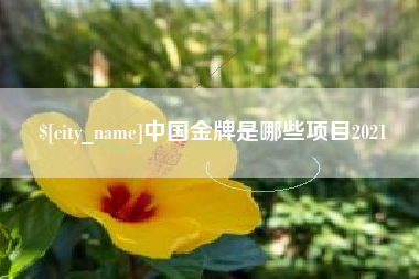 德宏中国金牌是哪些项目2021