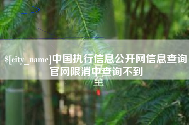 德宏中国执行信息公开网信息查询官网限消中查询不到