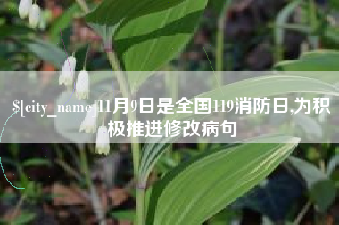 德宏11月9日是全国119消防日,为积极推进修改病句