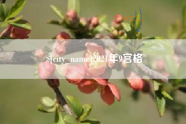 德宏2021年9宫格