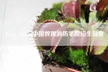 德宏中国救援消防学院招生简章