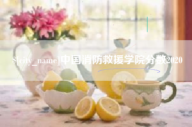 德宏中国消防救援学院分数2020