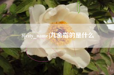 德宏九金指的是什么