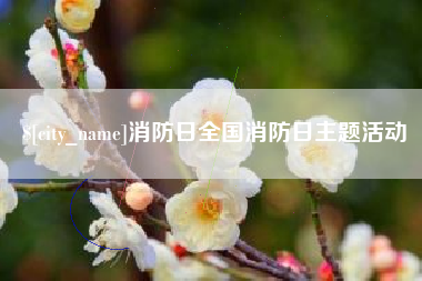 德宏消防日全国消防日主题活动